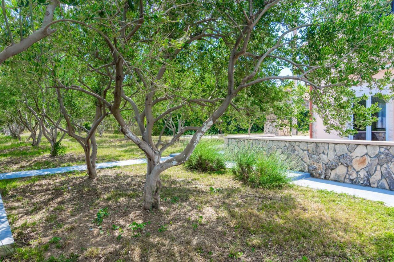 Vacation House Maslina Rupalj Екстериор снимка